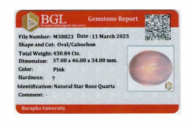 Gem Report