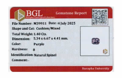 Gem Report