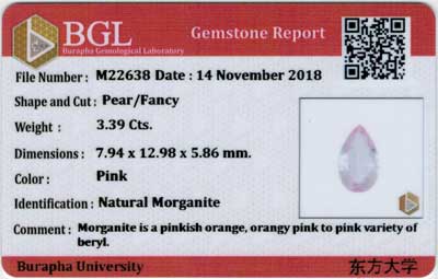 Gem Report