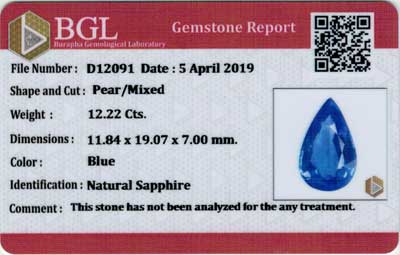 Gem Report