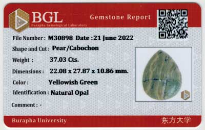 Gem Report
