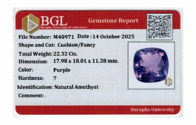 Gem Report