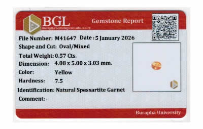 Gem Report