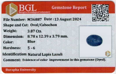Gem Report