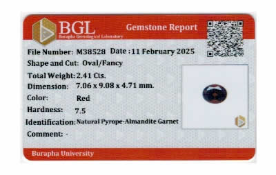 Gem Report