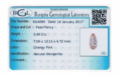 Gem Report