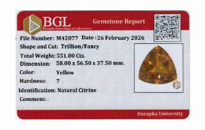Gem Report