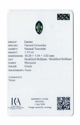 Gem Report