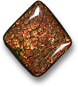 Cabochon di ammolite bruno-rossastro