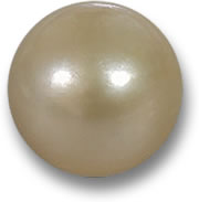 Cultured Saltwater Golden Pearl