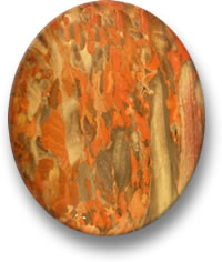 Cabochon di diaspro scozzese