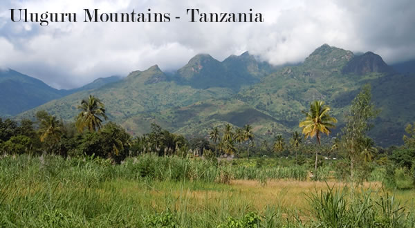 Foto dei Monti Uluguru della Tanzania