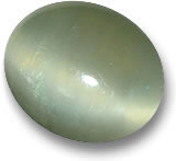 Actinolite Cat's Eye