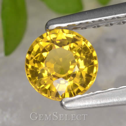 Round Yellow Sapphire