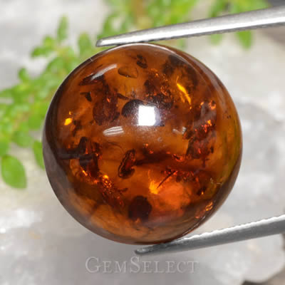 Amber Cabochon with Inclusions