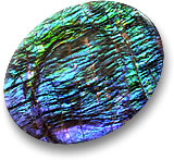 Ammolite Gemstone