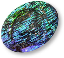 Multicolor ammolite gemstone