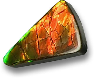 Pietra preziosa di ammolite stabilizzata