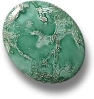 Australian Variscite Cabochon