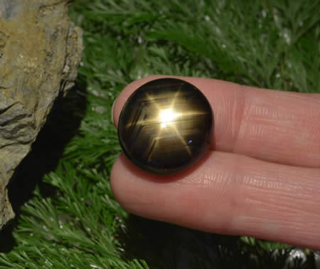 Black Star Sapphire