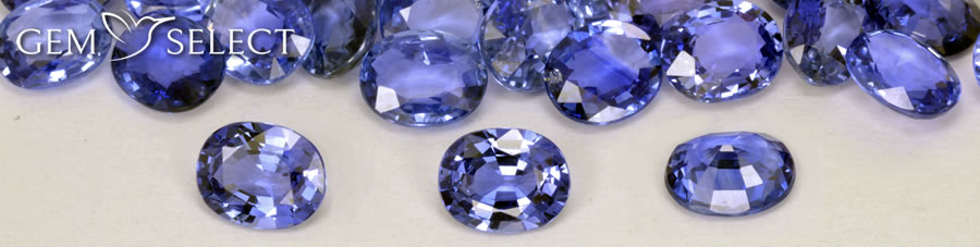 Un lote de piedras preciosas de zafiro azul de GemSelect