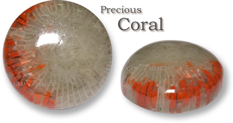 Buy Coral Gemstones for Taurus from GemSelect - Large Image