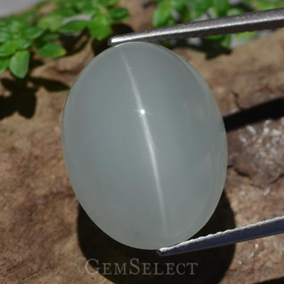 Cat's Eye Aquamarine Cabochon from GemSelect