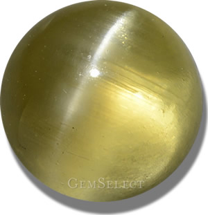 Cabochon d'apatite œil de chat