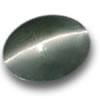Shop Cat's Eye Gems Shop Cat's Eye Gems at GemSelect