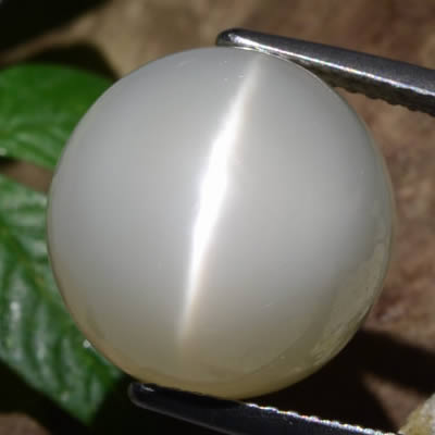 Cat's Eye Moonstone