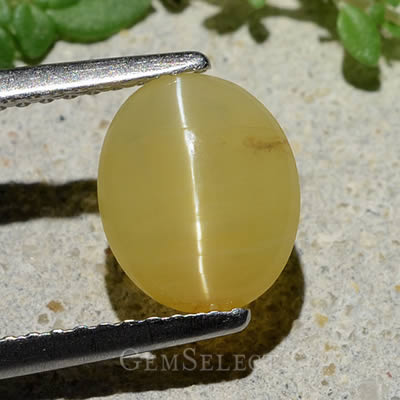 Cabochon d'opale œil de chat doré de GemSelect