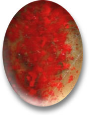 Cabochon in pietra di sangue di pollo