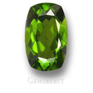 Le Chrome Diopside