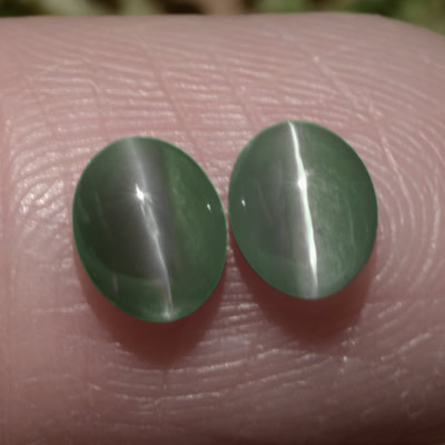 Matching Chrysoberyl Cat's Eye Pair