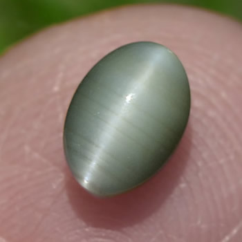 Chrysoberyl Cat's Eye Gem