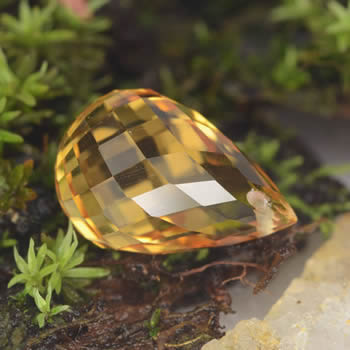 Citrine Briolette