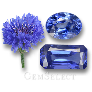 Cornflower and Blue Sapphire Gems