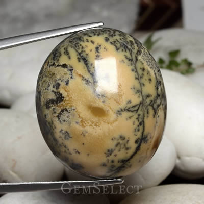 Dendritischer Achat Cabochon