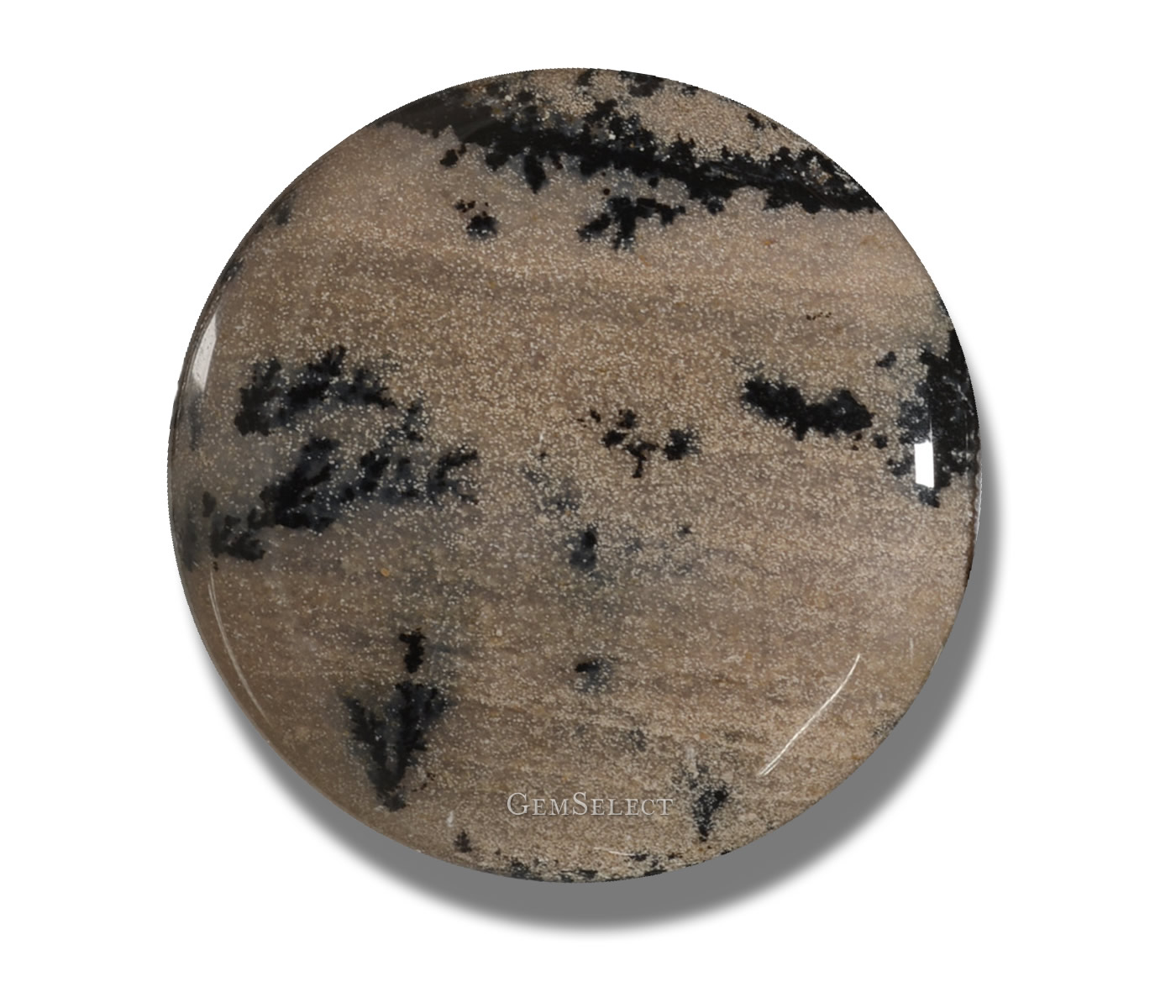 dendritic moss agate
