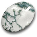 Multicolour Dendritic Agate Multicolour Dendritic Agate Cabochon