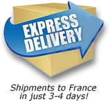 Express Delivery