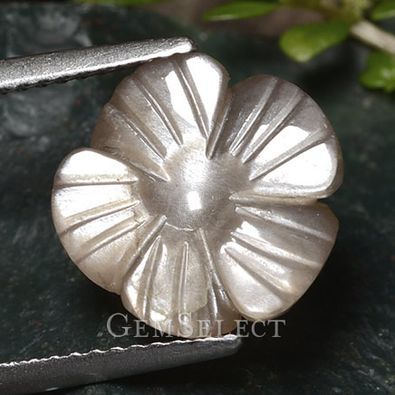 Flower-Cut Moonstone