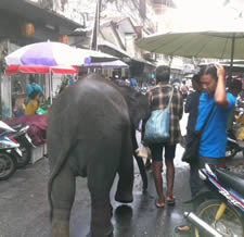 Gems Street - Thai International Market