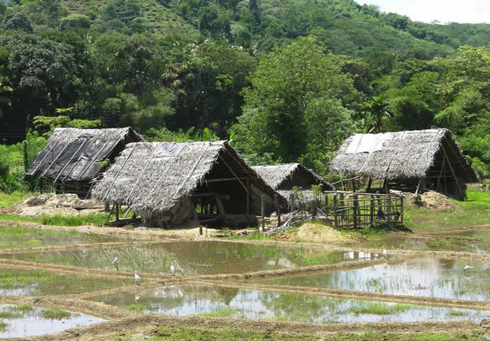 Una foto di una miniera di pietre preziose di zaffiro in Sri Lanka - Immagine grande