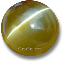 Goldenes Chrysoberyll-Katzenauge mit scharfem Auge