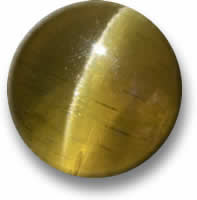 Yellow Cat's Eye Apatite Gemstone