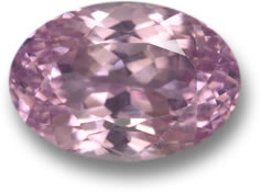 Kunzite rose