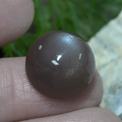 Cabochon Moka Moonstone