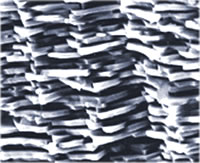Magnified Image Showing the Structure of Mother-of-Pearl