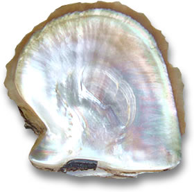 What is Mother of Pearl?